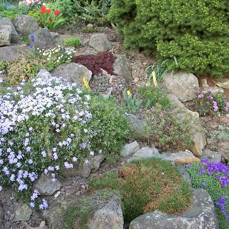 Winckler-haeuschen Drezno