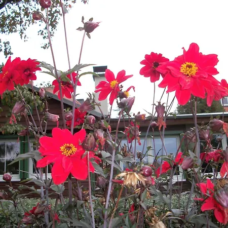 公寓 Winckler-haeuschen *