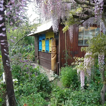 Winckler-haeuschen * 德累斯顿