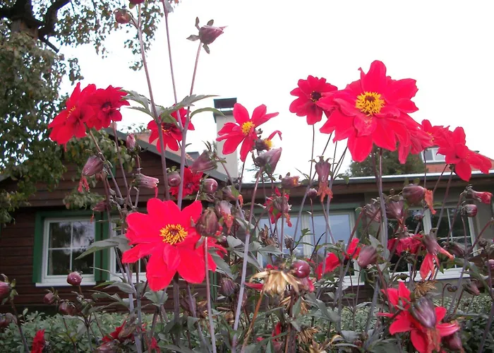 Appartement Winckler-haeuschen *