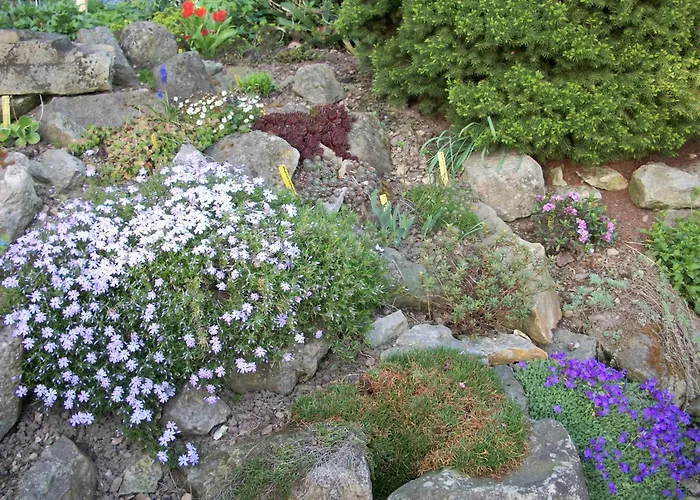 Winckler-haeuschen 德累斯顿