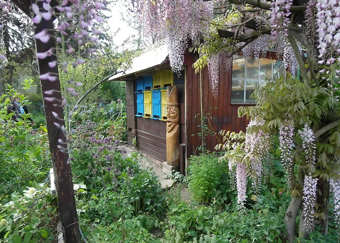 Winckler-haeuschen * 德累斯顿